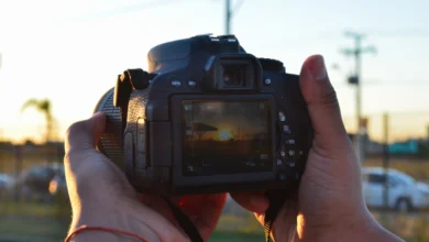 Painting with Light: The Ultimate Guide to Professional Photography
